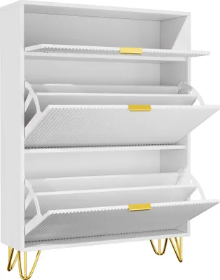 Produktbild von ProximaX Schuhschrank 2 Klappen Schuhkipper Schuhregal 24x80x118.5 cm weiß