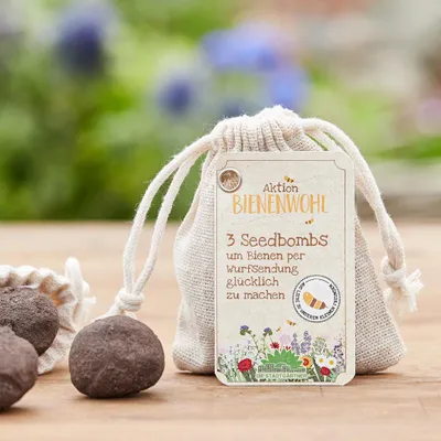 Produktbild von 3 Bienenwohl-Samenbomben im Jutebeutel – Seedbombs mit bienenfreundlichem Saatgut – Wildblumen für Bienen, Insekten & Schmetterlinge – nachhaltiges Geschenk & Beitrag zur Artenvielfalt