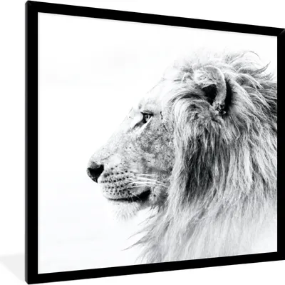Produktbild von MuchoWow® MuchoWow® Gerahmtes Poster Löwe - Schwarz - Weiß - Tiere 40x40 cm - Poster mit zchwarzem Bilderrahmen - Mit Rahmen - Wanddekoration Schlafzimmer