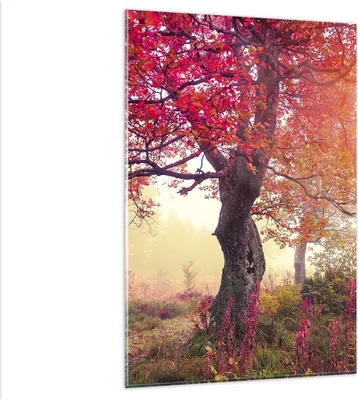 Produktbild von Bilder auf glas - Einteilig - Baum Natur Wiese - 80x120cm - Glasbilder - Wandbilder - Bilder - zum Aufhängen bereit - Wanddekoration aus Glas - Glas Bilder - Wandbild auf Glas - GPA80x120-3658