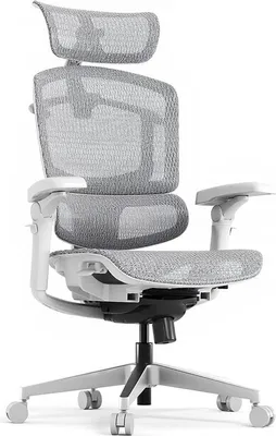 Zdjęcie produktu dla Ergonomiczny fotel biurowy OS250G-M1 ErgoX Pro, udźwig 250 kg, szary