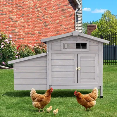 Obrázok produktu pre Kurník na pilótach, drevený odkladací box na vajíčka, chráni pred predátormi, zvýšené hniezdo, ľahko sa čistí. Svetlosivá farba