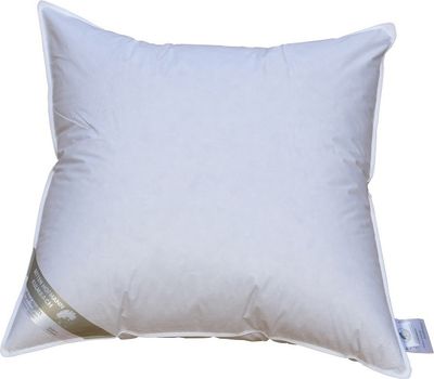 Kopfkissen 60x60 cm 300 g neue Daunen Daunenkissen Kleinkissen Nackenkissen