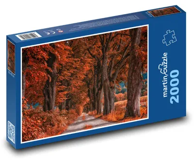 Obrázek produktu pro martinpuzzle - Puzzle 2000 - Cesta, podzim