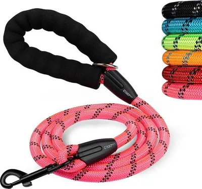Produktbild von Famanu Hundeleine 180 cm - Reflektierend, gepolstert, für große Hunde, rosa