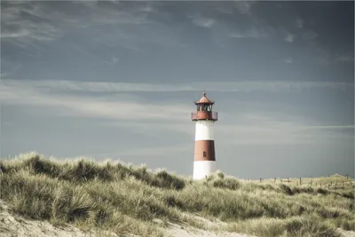 Produktbild von Wallario Premium Vliestapete Fototapete Leuchtturm auf der Düne am Strand in der Größe 400 x 267 cm, extra dick, wird in 5 Teilen geliefert