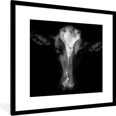 Produktbild von MuchoWow® Gerahmtes Poster Kuh Porträt auf schwarzem Hintergrund in schwarz und weiß 40x40 cm - Poster mit Schwarzem Bilderrahmen Wandposter Rahmen Foto Bilder - Poster - Plakat im Rahmen