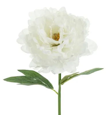 Immagine prodotto di Fiore artificiale - Peonia, 35 cm, bianco