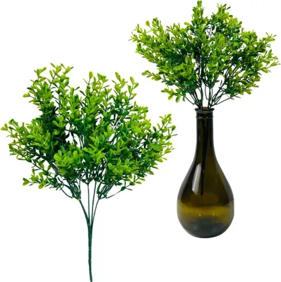 Image de Buis - Bouquet de feuilles, pic de buis 35 cm