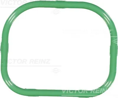Produktbild von REINZ 71-36167-00 Dichtung Ansaugbrücke für VW Golf IV Schrägheck (1J1) Golf IV Variant (1J5) PASSAT Variant (3B5) Bora Limousine (1J2) Bora Variant
