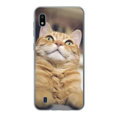 Produktbild von MuchoWow® Handyhülle Schutzhülle Hülle für Samsung Galaxy A10 Katze - Bank - Orange Silikon Softcase Handy Hülle - Schutzhülle