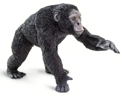 Produktbild von Safari Ltd Schimpansenfigur Schwarz From 3 Years Kinder Schwarz From 3 Years