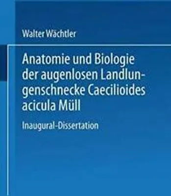 Obrázok produktu pre Anatomie und Biologie der augenlosen Landlungenschnecke Caecilioides acicula Müll