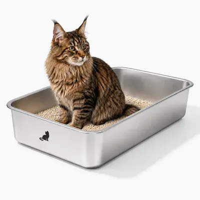 Produktbild von Theo&Cleo Edelstahl Katzenklo XXL Katzentoilette offen für große Katzen leicht zu reinigen geruchsarm A60 59,5×39,5×14,5 cm
