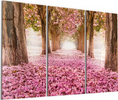 Produktbild von DEQORI Glasbild Echtglas 3x50x100 cm 'Kirschblütenallee' Wandbilder XXL groß