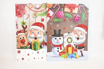 Produktbild von Geschenktüte in KR 3675 XL (25) 18445