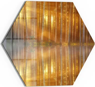 Produktbild von DEQORI Glasbild Echtglas 40x35 cm 'Waldspiegelung am See' Wandbild Bild modern Deko