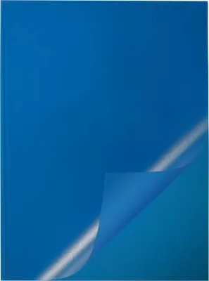 Obrázok produktu pre Durable 2919 - Blau - Polypropylen (PP) - 100 Blätter - A4 - 50 Stück(e)