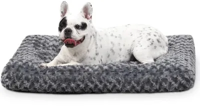 Produktbild von Kleines Hundekissen aus weichem Material mit Antislip-Beschichtung