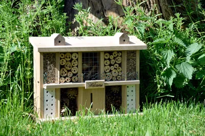Immagine prodotto di Albergo per insetti in legno di quercia, dimensioni extra large, 47 x 34 x 12,5 cm, ideale per giardino e balcone