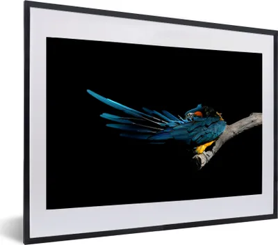 Produktbild von MuchoWow® MuchoWow® Gerahmtes Poster Vogel - Federn - Zweig - Schwarz 60x40 cm - Poster mit zchwarzem Bilderrahmen - Schlafzimmer - Plakat in Rahmen - Drucken