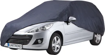 Produktbild von CARTREND Vollgarage Kombi (493x209x152cm) blau