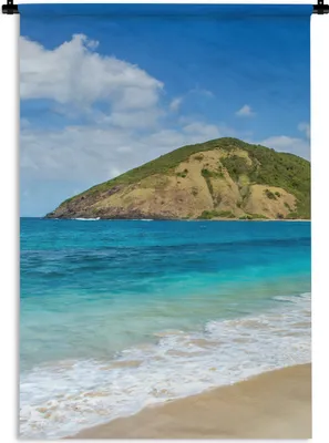 Produktbild von MuchoWow® Wandteppich Wandbehang Meer - Tropen - Strand - Pflanzen 90x135 cm Tapisserie Dekoration Wandtuch - Baumwolle - Wandskulptur