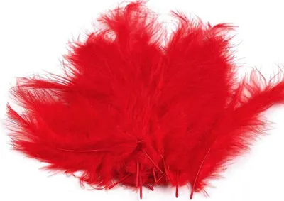 Immagine prodotto di Piume di struzzo rosse 9-16cm - 20pz