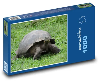 Obrázok produktu pre Puzzle 1000 Galapágska korytnačka na lúke - martinpuzzle