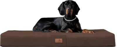Produktbild von tierlando® Orthopädische Hundematte FLOKI ORTHO PLUS High-Tech-Velours - Größe: 80x60cm | Farbe: 01 Braun