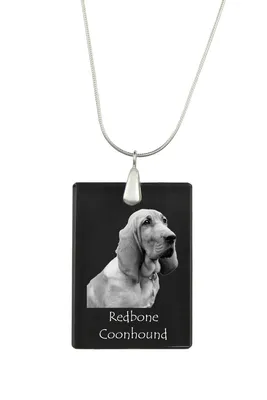 Image de Redbone Coonhound - Pendentif en cristal avec chien, collier en argent avec photo, pendentif personnalisé de la marque Art-Dog