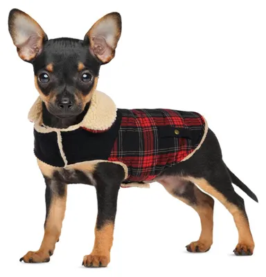 Imagen del producto de Chaleco para perros - Forrado con forro polar - Rojo - Talla S