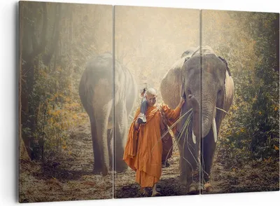 Produktbild von Bild auf Leinwand - Leinwandbild - Elefant Mönch Dschungel - 165x110cm - Wand Bild - Wanddeko - Leinwanddruck - Bilder - Kunstdruck - Wanddekoration - Leinwand bilder - Wandkunst - CE165x110-3453