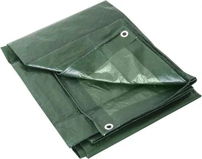Productafbeelding van Waterdicht Dekzeil met Oogjes 180 g/m² 3 x 4 m Groen
