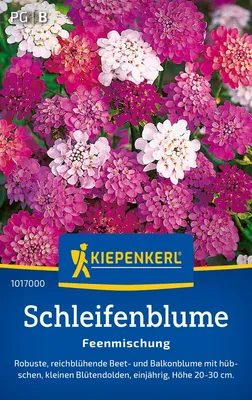 Produktbild von Kiepenkerl Schleifenblumesamen Feenmischung 90 Pflanzen
