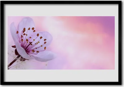 Produktbild von Bild 100x70 MDF-Rahmen Wandkunst Natur Blume Pflanze