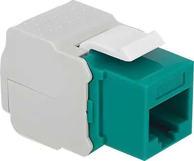 Image de DELOCK Keystone RJ45 -> LSA Cat6 UTP Buchse