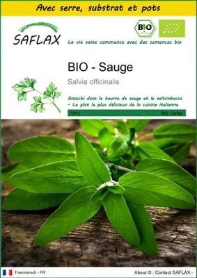 Image de SAFLAX Ensemble de culture -- Sauge - 60 graines - Salvia