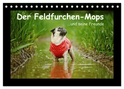 Produktbild von Der Feldfurchen-Mops (Tischkalender 2027 DIN A5 quer), CALVENDO Monatskalender