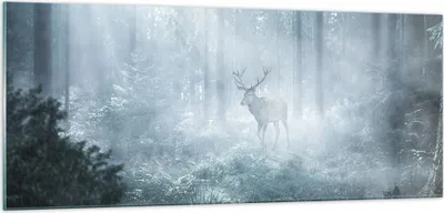 Produktbild von Bilder auf glas - Einteilig - Hirsch Wald Morgendämmerung - 100x40cm - Glasbilder - Wandbilder - Bilder - Wanddekoration aus Glas - Glas Bilder - Wandbild auf Glas - GAB100x40-4667