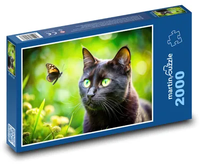 Zdjęcie produktu dla Puzzle 2000 Motyl i czarny kot - martinpuzzle