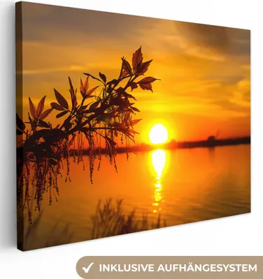 Produktbild von MuchoWow® - Leinwandbilder - Sonnenuntergang - Wasser - Pflanzen - Orange, Wandbild, Wanddeko Bilder Wohnzimmer, 120x90cm