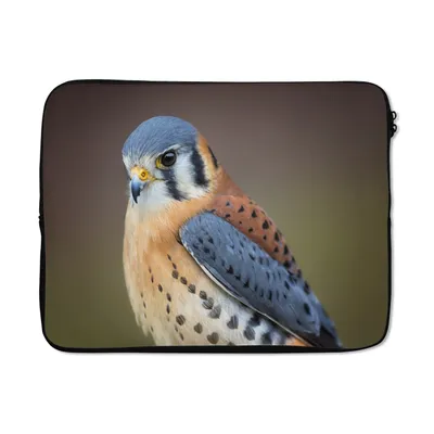Produktbild von MuchoWow® Laptop Hülle 14 ZollVogel - Makro - Blau Laptoptasche - Laptoptasche - Stoßsicher - Schutzhaube