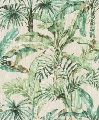Produktbild von Rasch Florentine III | 485240 | Vliestapete Botanical | 0.53 m x 10.05 m | Grün