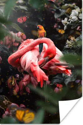 Produktbild von MuchoWow® Poster Flamingo - Vogel - Dschungel 20x30 cm - Papierdruck