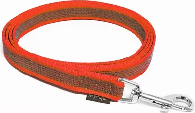 Produktbild von Mystique® Gummierte Leine 20mm mit Handschlaufe Standard Karabiner rot 3m