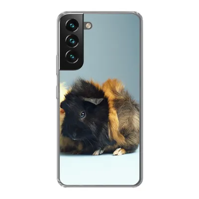 Produktbild von MuchoWow® Handyhülle Schutzhülle Hülle für Samsung Galaxy S22 Zwei kleine Meerschweinchen Silikon Softcase Handy Hülle - Mobiltelefonhülle