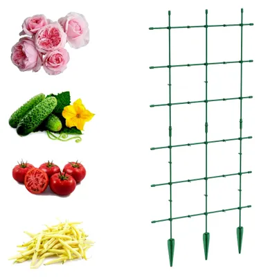 Produktbild von Rankgitter für Gartenpflanzen, Gartenstütze für Kletterpflanzen, 120 x 60 cm Gestell, Pergola, Leiter, Spalier für Tomaten, Gurken, Blumen, Pflanzenunterstützung, Blumentopfstäbe