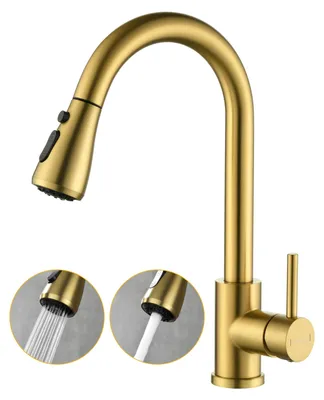 Ausziehbare Küchenarmatur, 3 Funktionen, 360° drehbar, Gold