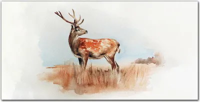 Produktbild von Coloray Küchenrückwand 120x60 Spritzschutz aus Glas - Aquarell Haustier Hirsch